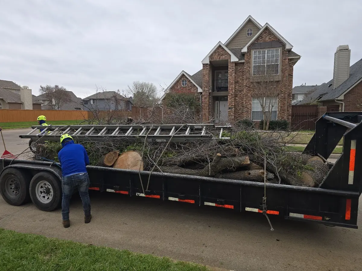 Expert Tree Pest Control with proper safety equipment in Hidalgo